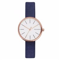 Montre Skagen Femme Signatur in Acier SKW2592 - SKW2592